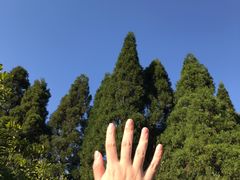 -井冈山风景名胜区