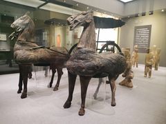 -仪征博物馆