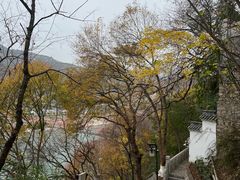 -白帝城·瞿塘峡景区