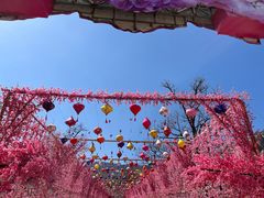 -北京凤凰岭