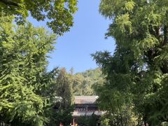 -潭柘寺景区
