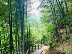 -藏龙百瀑风景区