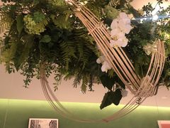 -Aqua Oasis 水天堂(太湖中心mall店)