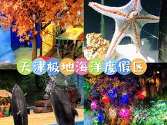 -海合安天津极地海洋公园