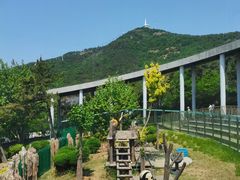 -大连森林动物园