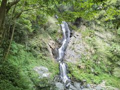 -石台牯牛降景区