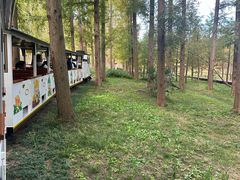 -黄海国家森林公园