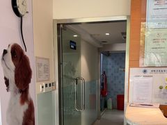 -瑞派申生动物医院·24H夜诊·国际动物医疗中心·骨外科(吴中路店)