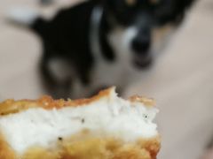 -肯德基(春申店)