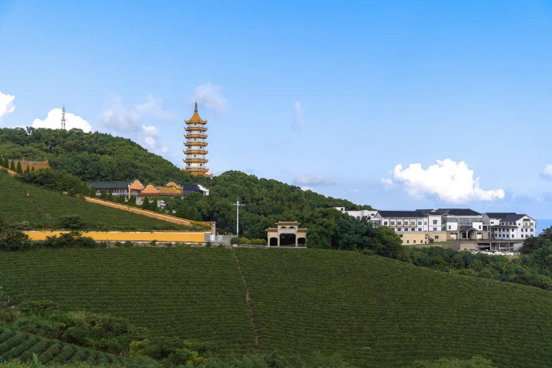 仙岛 岱山
