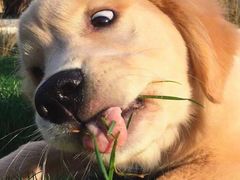 -二中酸辣汤(无锡梁溪区店)