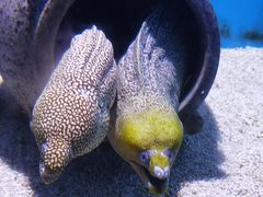 -大连老虎滩海洋公园