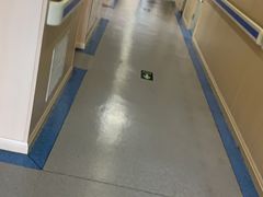 -喜多萌中农锦绣动物医院24H·猫科·牙科MRI·CT