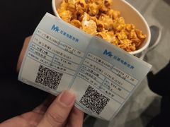 -红星电影世界上海张江绿地店