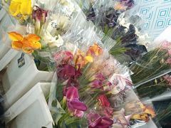 -循礼门鲜花花市(武汉循礼门店)