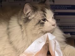-艾贝尔宠物医院 ·中兽医·宠保定点(北门桥店)