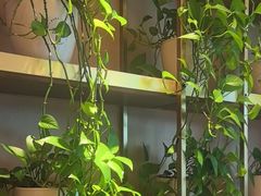 -大食客·非遗吉菜(高新和园店)