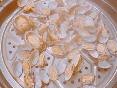 花蛤-蔚海之都·象山蒸汽海鲜(仙霞路店)