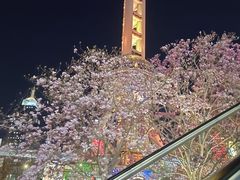 -东方明珠广播电视塔