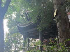 -成都老君山