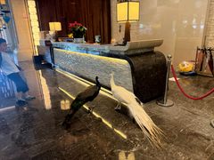 -西双版纳融创皇冠假日度假酒店