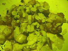 -香榭里音乐酒吧(丰美店)