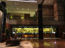 点击看大图 -新锦江大酒店·宴会厅·婚宴