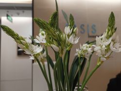 -Oasis Beauty水磨坊科技美肤中心