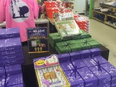 -鳥取砂丘会館
