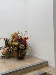 -WAVE SODA摄影工作室