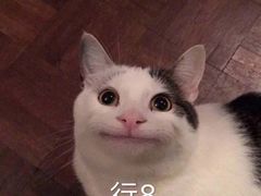 -火锅岛潮牌自助餐厅(天津天佑城店)