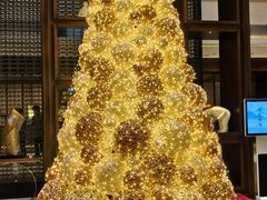 -舟山希尔顿酒店