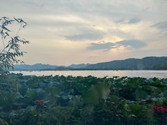 -湖畔居茶楼(湖滨店)