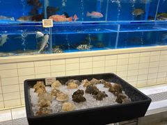 水产区-T11生鲜超市(朝阳公园店)