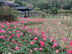 -龙寺生态园