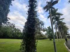 -中国科学院西双版纳热带植物园