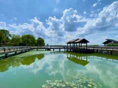 -阳澄湖半岛旅游度假区
