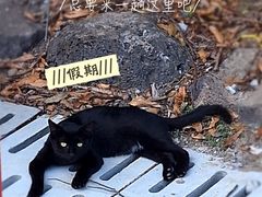 -南京市江宁方山