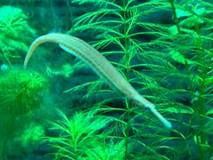 -上海海洋水族馆