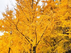 -浙江大学(紫金港校区)