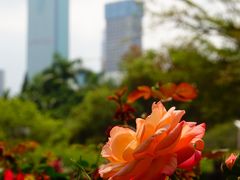 -人民公园(罗湖区)