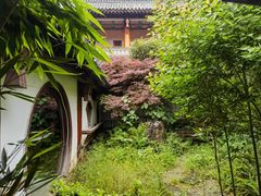 -铁山坪森林公园