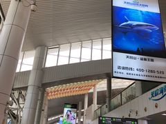 -厦门邮轮中心厦鼓码头(轮渡站)