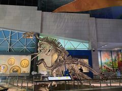 -湖南省地质博物馆