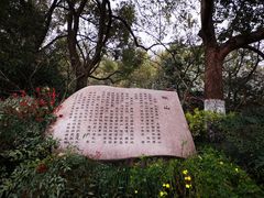 景点-杭州半山国家森林公园