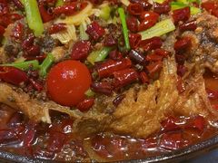 -老板恋上鱼(印象城店)