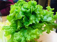 -红满天红焖羊排(大西菜行店)