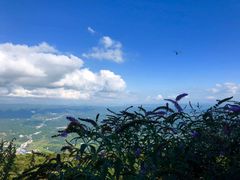 -齐岳山