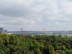 -张坝桂圆林公园