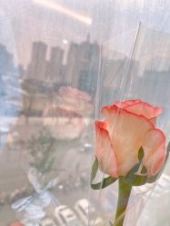 -喜宝·享悦时光月子会所(德阳店)